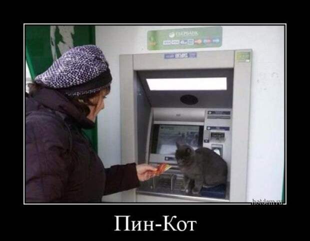 Прикольные демотиваторы на Бугаге (13 шт)