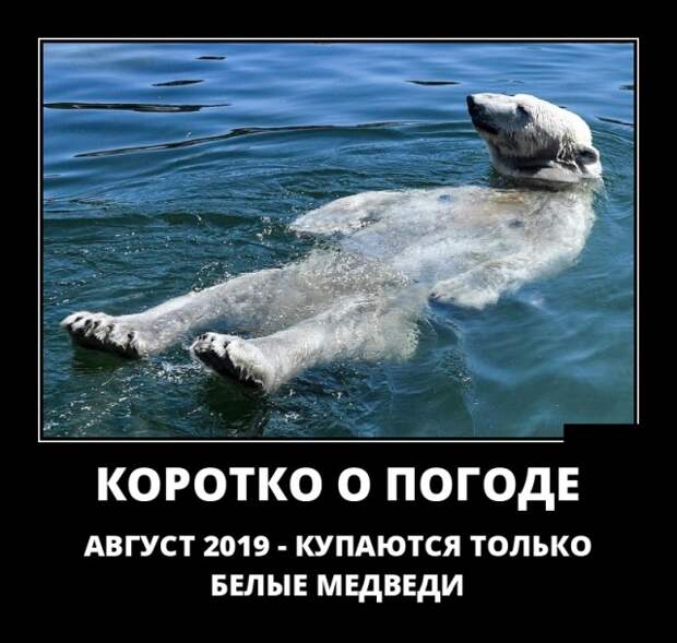 Демотиваторы (20 фото)