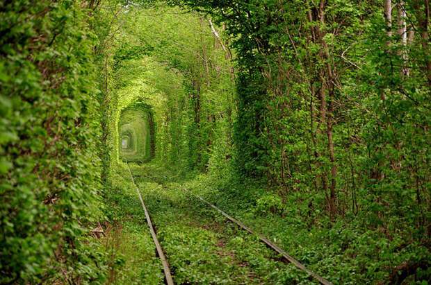 Тоннель любви, Украина красивые места, красота, невероятные места, фото