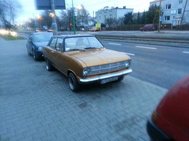 авто, автомобили, польша