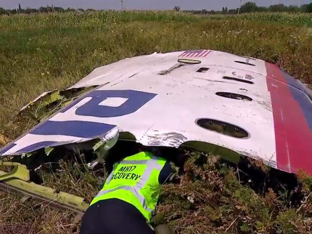 Самолет авиакомпании Malaysia Airlines, совершавший регулярный рейс по маршруту Амстердам - Куала-Лумпур, был сбит 17 июля 2014 года в небе над Донбассом. Все находившиеся на его борту 298 человек погибли