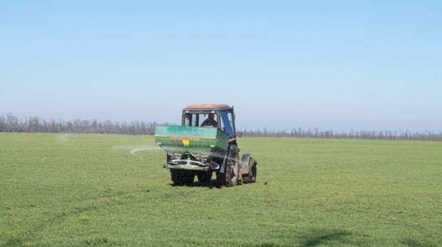 Красногвардейский район: Озимые подкормлены, яровые на подходе