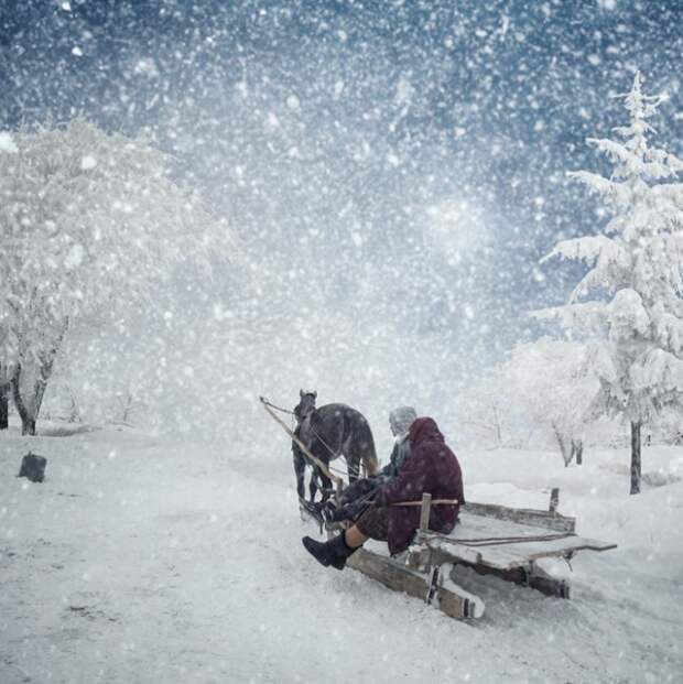 Сани. Фотохудожник  Караш Йонуц (Caras Ionut).