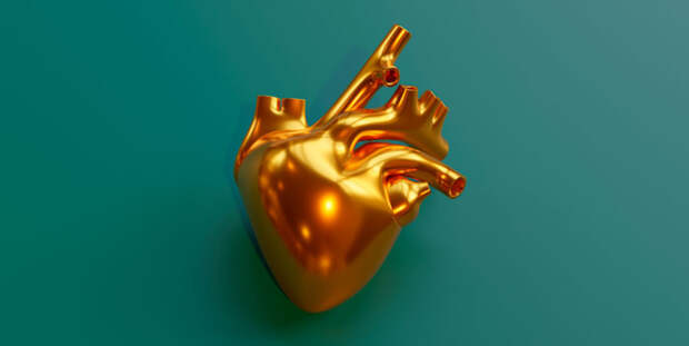 CirRes: после инфаркта клетки сердца могут самостоятельно восстанавливаться