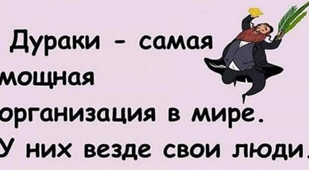 17 забавных историй для отличного настроения 17 забавных историй для отличного настроения