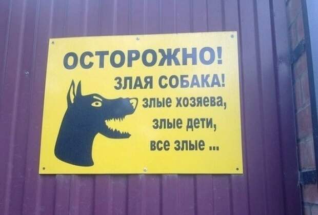 Таблички от хозяев с прекрасным чувством юмора животные, таблички, чувство юмора