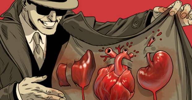 Учёные планируют вырастить «безголовых людей» на органы