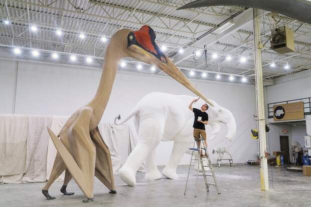 A story in the November 2017 issue documented new discoveries about pterosaurs. In this photo, a life-sized model of a Quetzalcoatlus northropi, which lived in the Late Cretaceous Period, gets a coat of paint in a Minnesota studio.