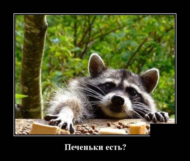 www.vsyako.net