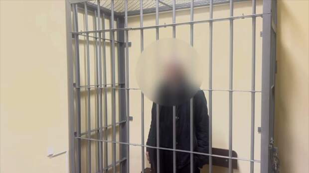 14 лет колонии за госизмену