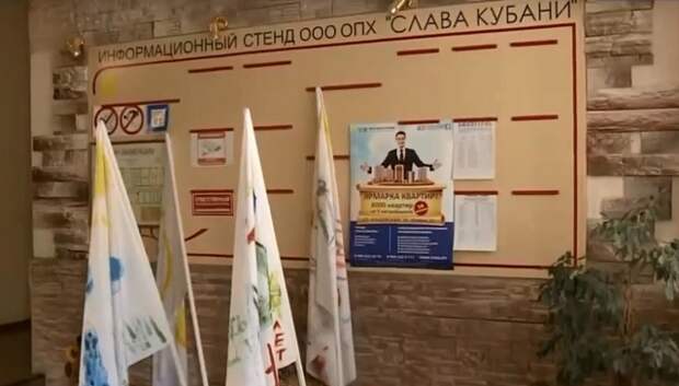 В офисе Стришней «Слава Кубани» прошли обыски.
