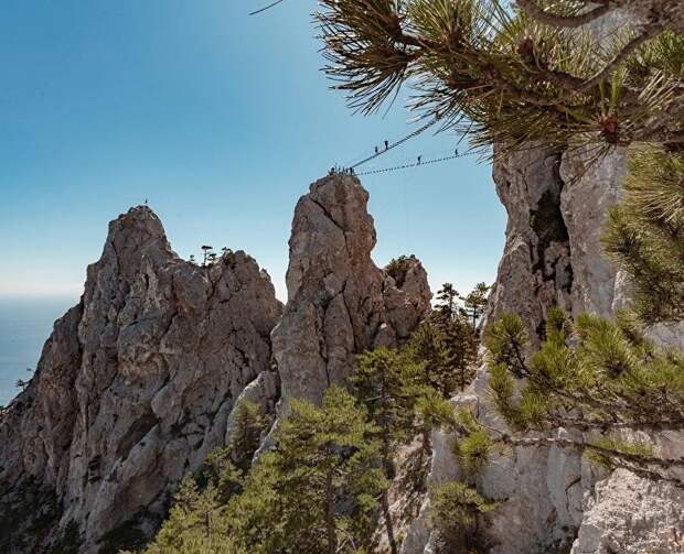 Живописный маршрут и тропа в Ялтинском заповеднике снова доступны для посещения