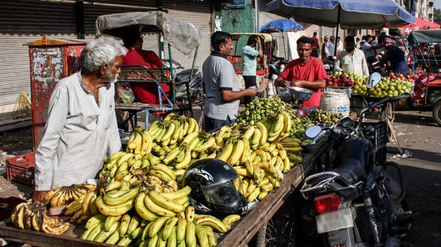 Роспотребнадзор призвал туристов не есть сырые фрукты в странах с вирусом Нипах
