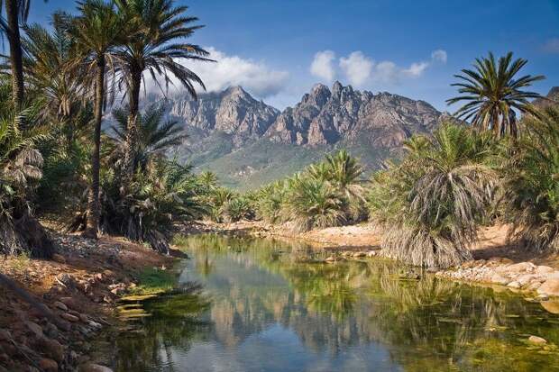 Socotra08 Удивительный остров Сокотра