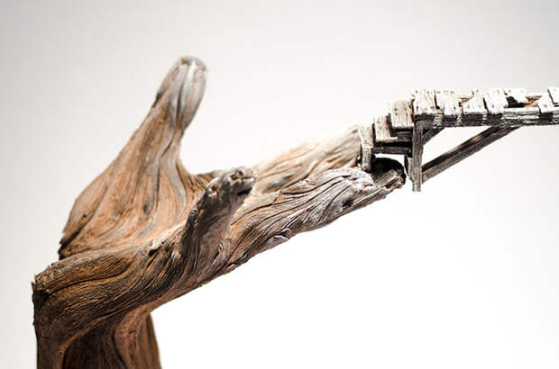 Деталь. Автор: Christopher David White.