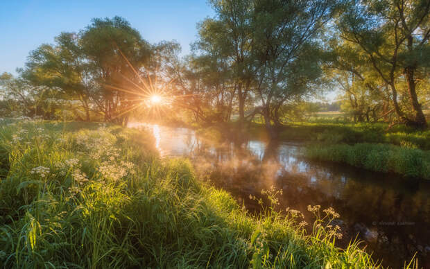 Июньский день на реке Угре фотография, лето, река Угра, красота природы, Смоленская область, Россия, длиннопост