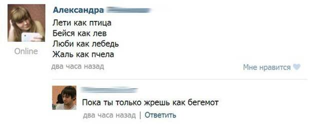 Писанина