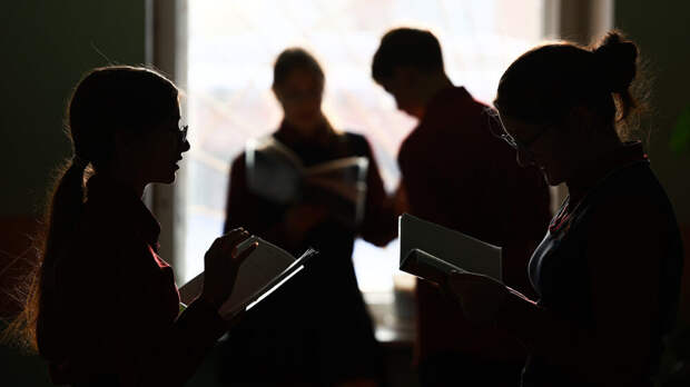 Депутат ГД Останина обратилась к главе Минпросвещения из-за переполненности школ