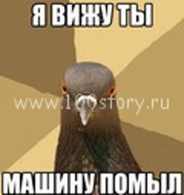 Машины и голуби