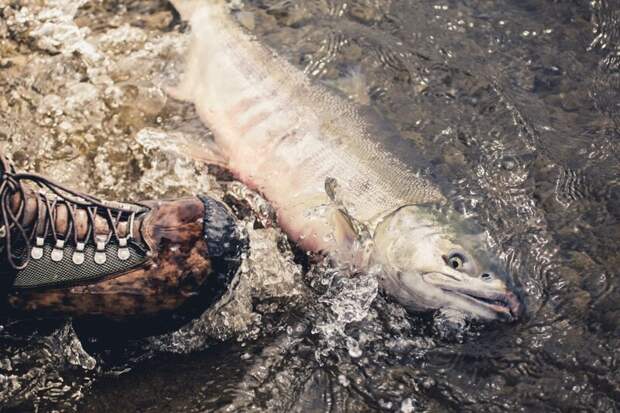 В Свердловской области ограничат количество мест для рыбалки по причине нереста