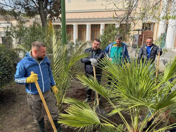 В Ялте создают большой розарий