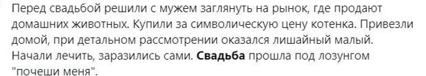 Свадебные истории: смех сквозь слезы Свадебные истории: смех сквозь слезы