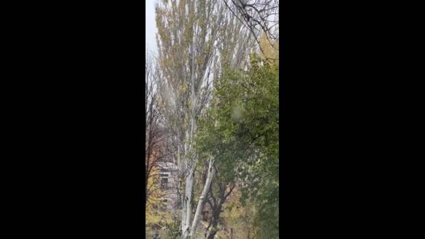 Video: Видео от Донецкая группа новостей|Донецк.ДНР