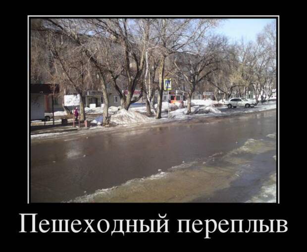 Демотиваторы (30 фото) Демотиваторы (30 фото)