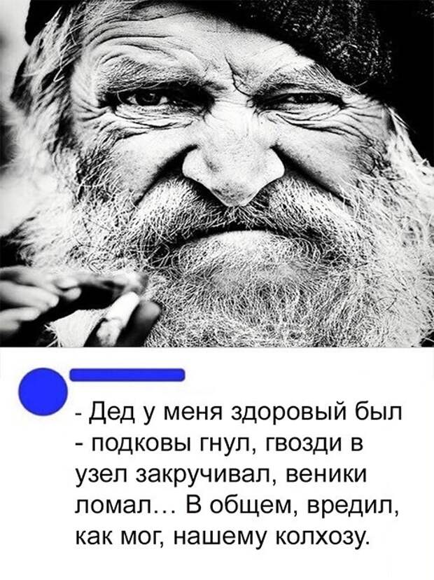 Вредитель ))))