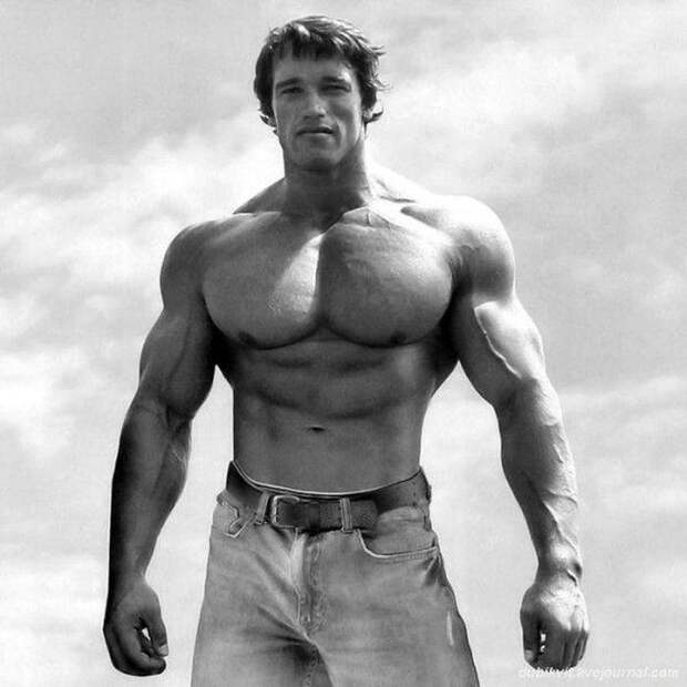 Schwarzenegger21 История успеха Арнольда Шварценеггера