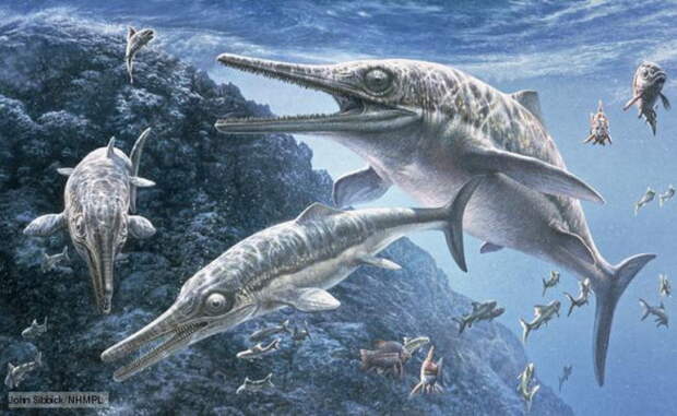 Temnodontosaurus