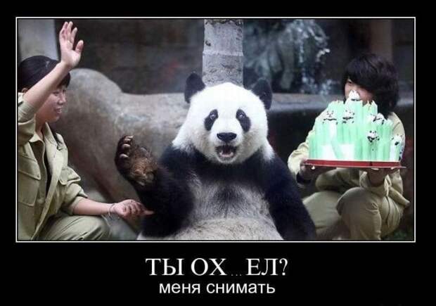 Демотиваторы