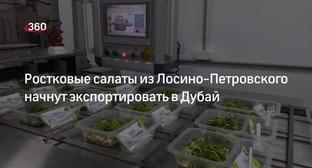 Ростковые салаты из Лосино-Петровского начнут экспортировать в Дубай
