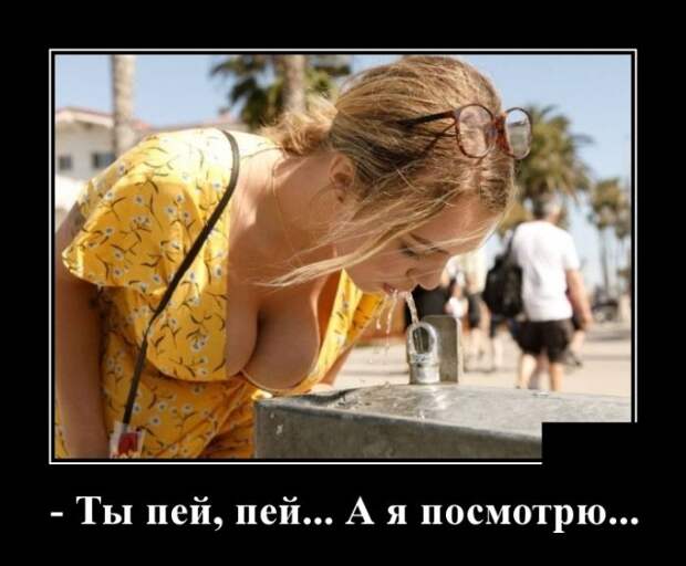 Демотиваторы (30 фото)