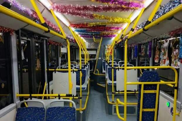 В Тамбове на маршрут выйдут дополнительные "Дедморобусы"