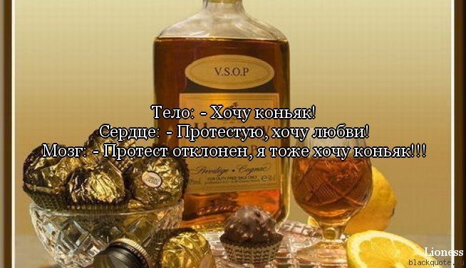 5672049_1348027150_frazi_01 (654x377, 54Kb)