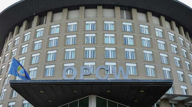 Постпред России оценил работу ОЗХО  