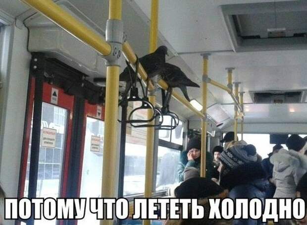 Подборка автоприколов. Часть 193 автоприколы, приколы