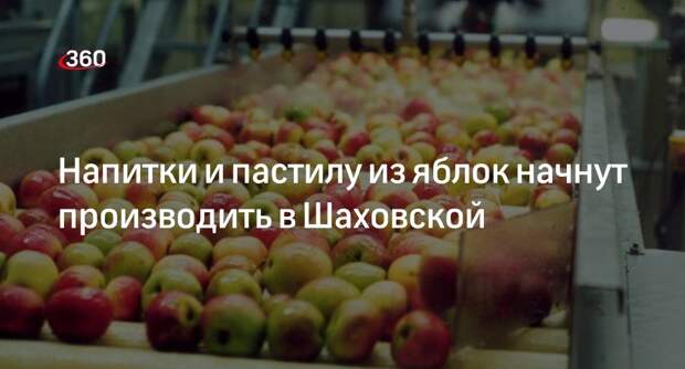 Напитки и пастилу из яблок начнут производить в Шаховской