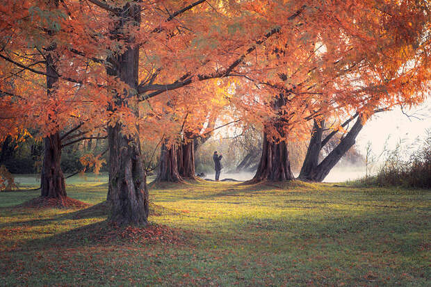 Among The Trees by Magdalena Ginalska on 500px.com