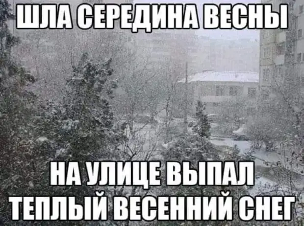 Переписка на сайте знакомств:  - Предлагаю встретиться в понедельник у метро Петроградская...