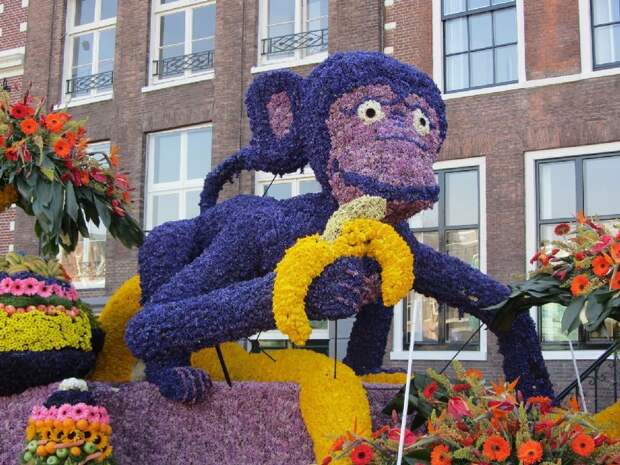 NewPix. ru - Голландский фестиваль цветов Bloemencorso