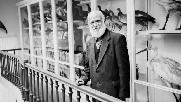 На 98-м году жизни скончался Валериан Гаранин – один из составителей Красной книги РТ