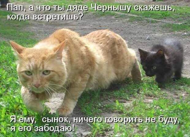 Продолжаем подготовку к Новому Году.
