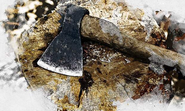 В Новосильском районе раскрыта незаконная рубка деревьев