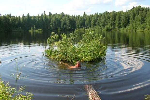 Озеро Шайтан: почему люди слышат странный гул у водоема в Кировской области