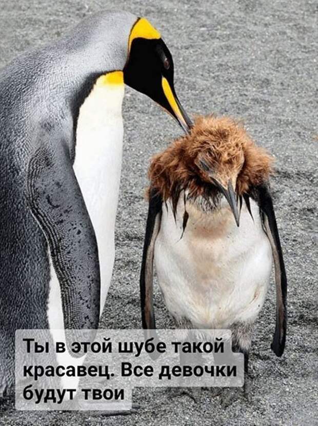 2-4.jpg