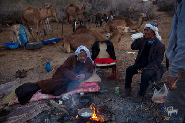 Жители арабского мира, которые ведут кочевой образ жизни (Фото)