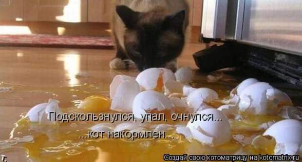 Котоматрицы(картинки с надписями)