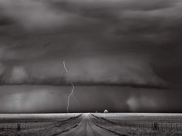 Лучшие фотографии от National Geographic за 2012 год national geographic, дикая природа, животные, лучшие фотографии, природа